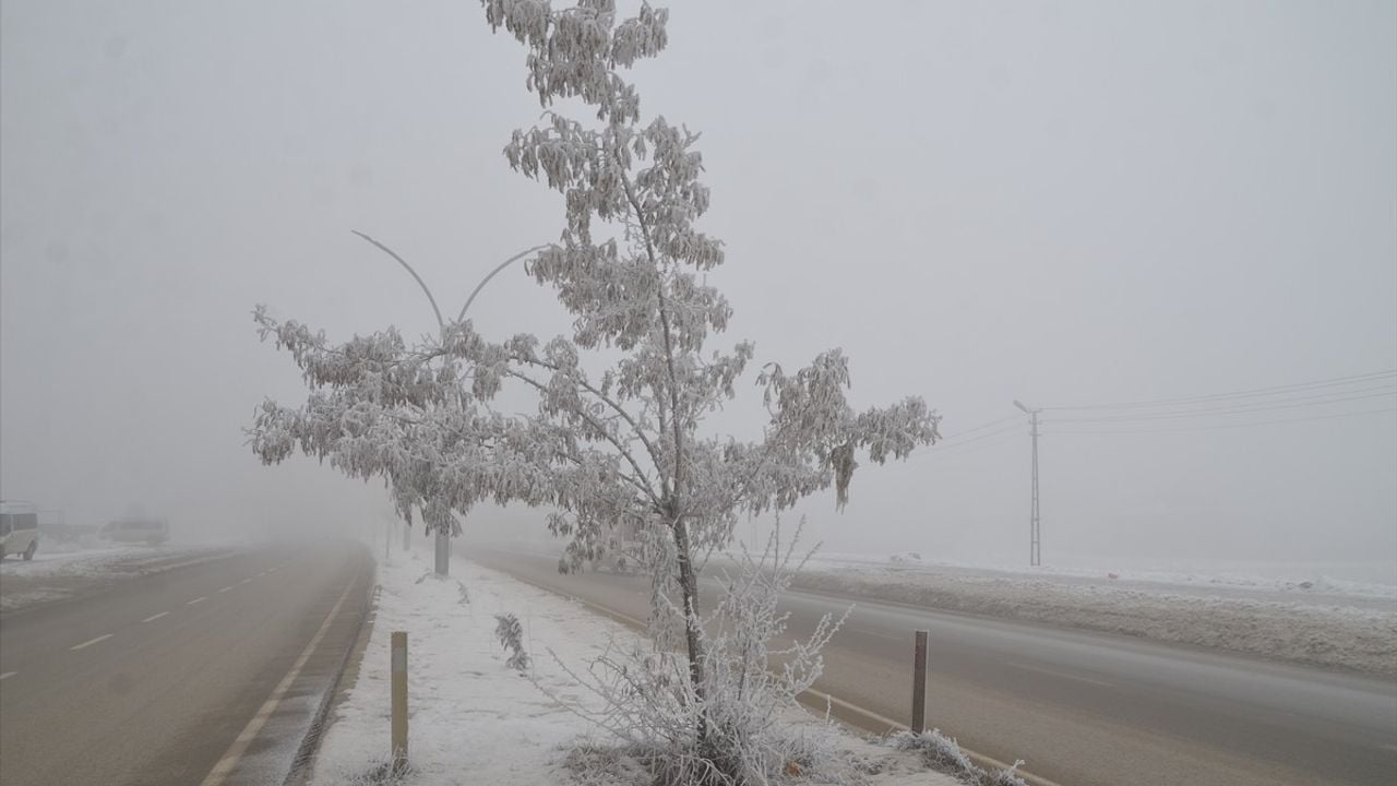 Hakkari'de Soğuk Hava ve Sis Ulaşımı Olumsuz Etkiliyor