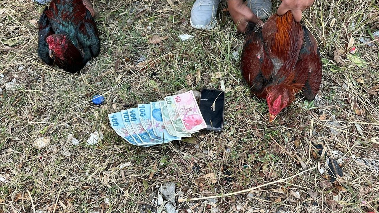 Hatay'da Horoz Dövüşü Yapan 14 Kişiye 41 Bin 350 Lira Ceza