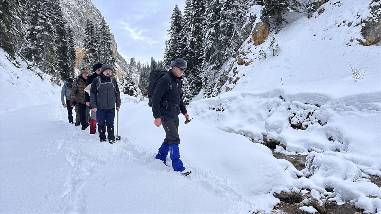 Ilgaz Dağı: Doğa Tutkunlarının Yeni Gözdesi