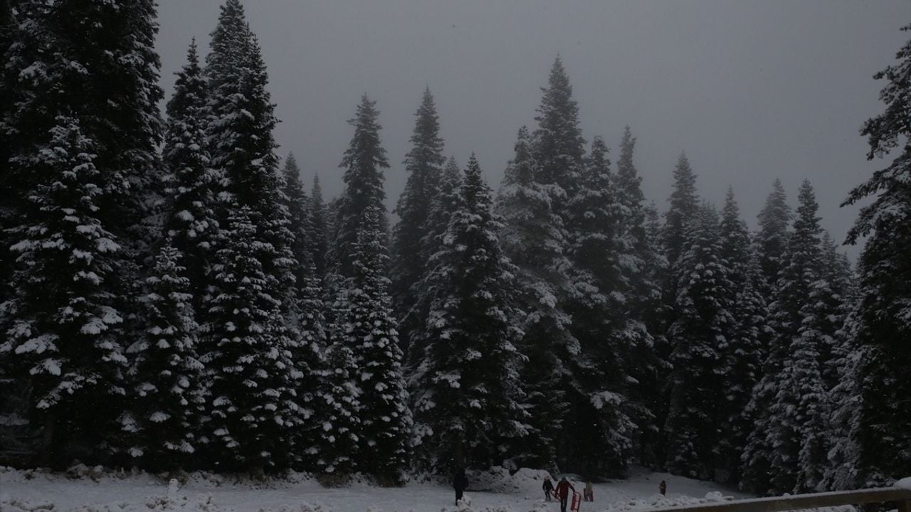 Ilgaz Dağı'nda Kar Yağışı ve Sis Etkili Olmaya Devam Ediyor