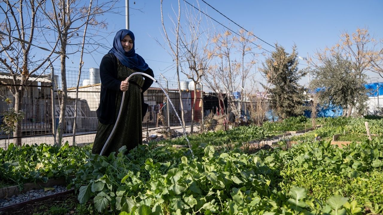 Irak’taki Suriyeli Sığınmacılar, Güvensizlik Nedeniyledir Suriye’ye Dönemiyor