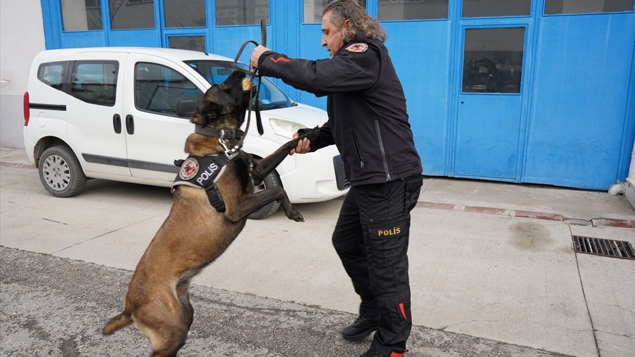 Isparta Emniyetinin Narkotik Köpeği 'Milon', Ayın Köpeği Seçildi