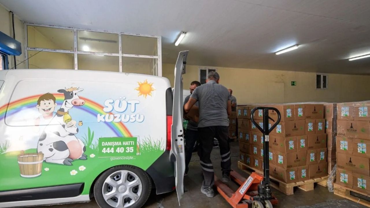 İzmir'de Süt Kuzusu Projesi Başlıyor: Aylık 8 Litre Süt Desteği