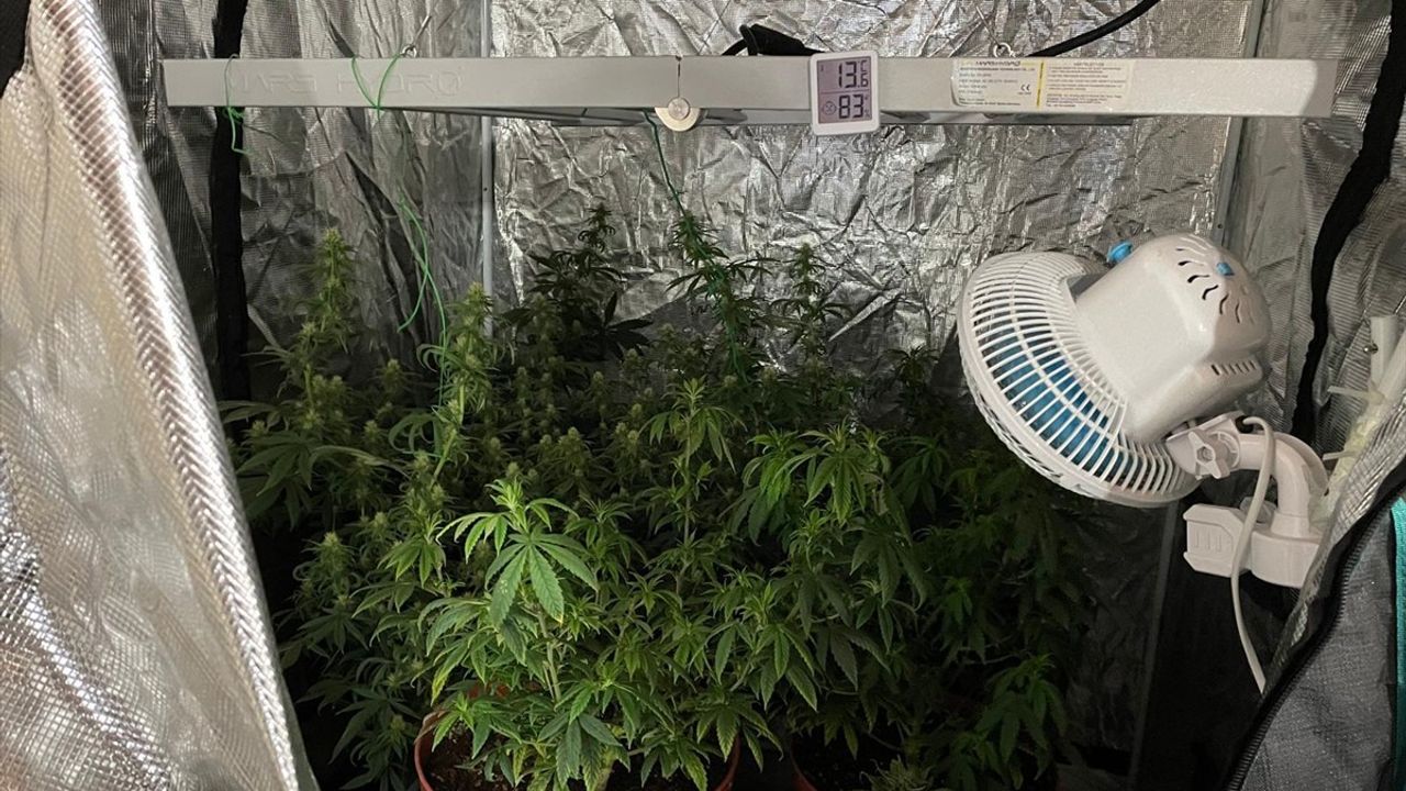 İzmir'de Uyuşturucu Operasyonu: 3 Şüpheli Tutuklandı