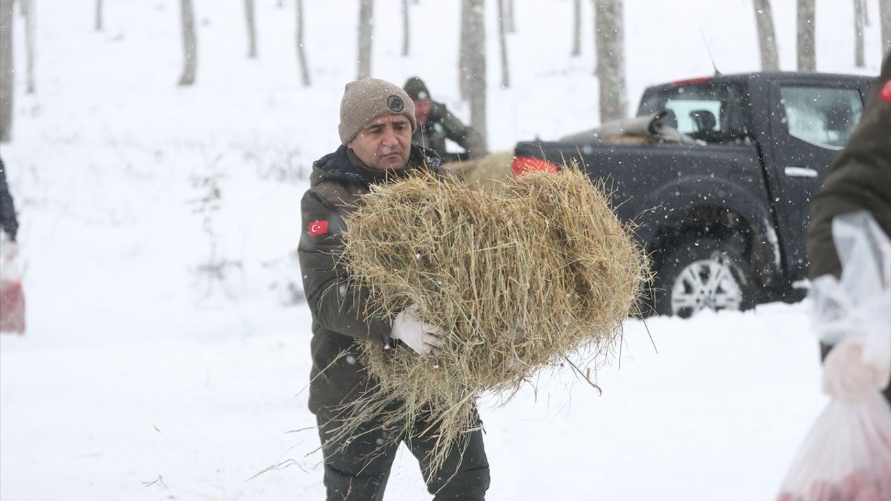 Kırklareli'nde Ekipler Yaban Hayvanları İçin Doğaya Yem Bıraktı