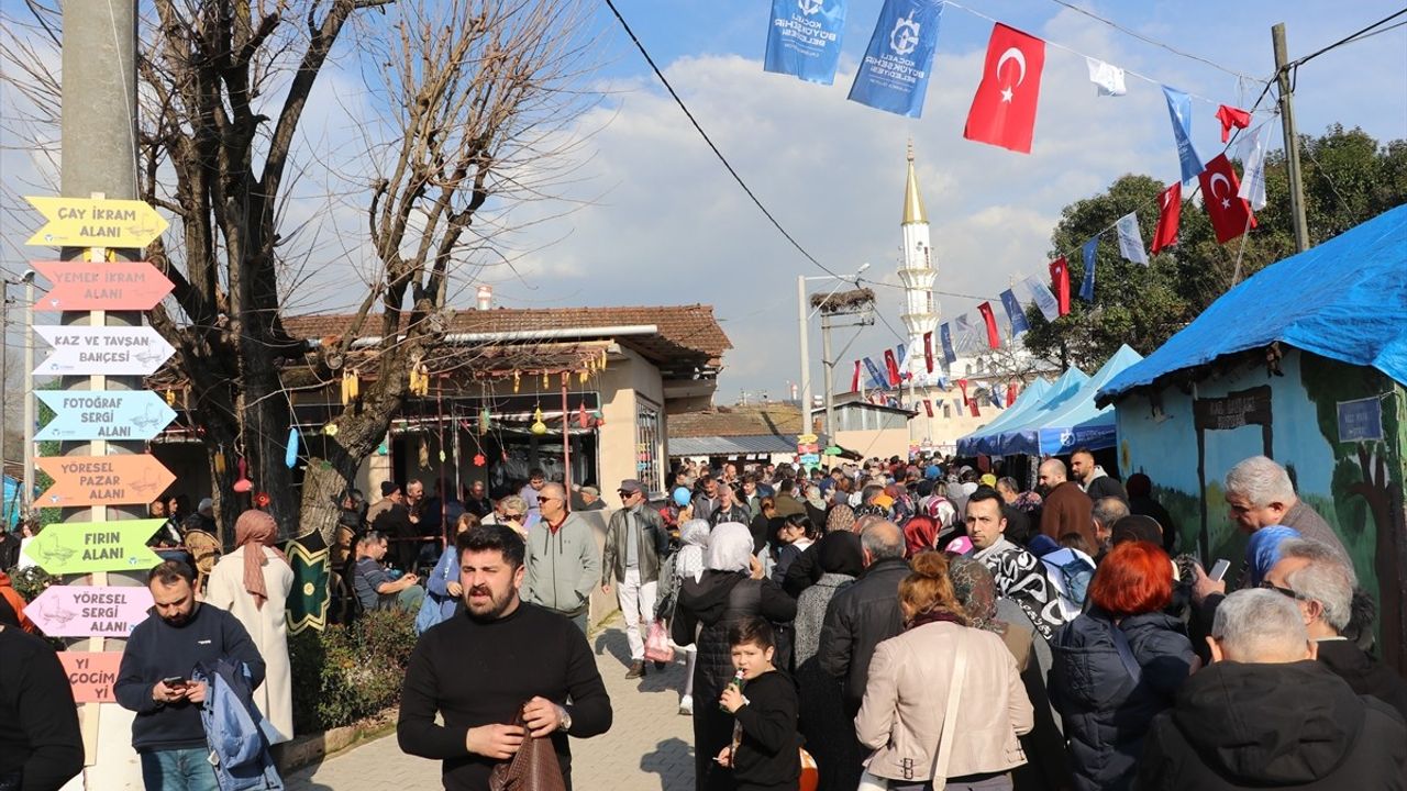 Kocaeli'de Geleneksel 'Kaz Bayramı' Kutlandı