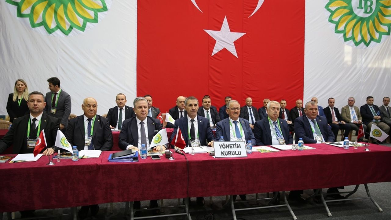 Kuraklık ve Hava Koşulları Ayçiçeği Üretimini Etkiliyor