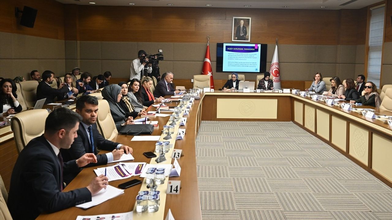 Meclis Araştırma Komisyonu, Kadına Yönelik Şiddet ve Ayrımcılığı Önlemek İçin Akademisyenleri Dinledi