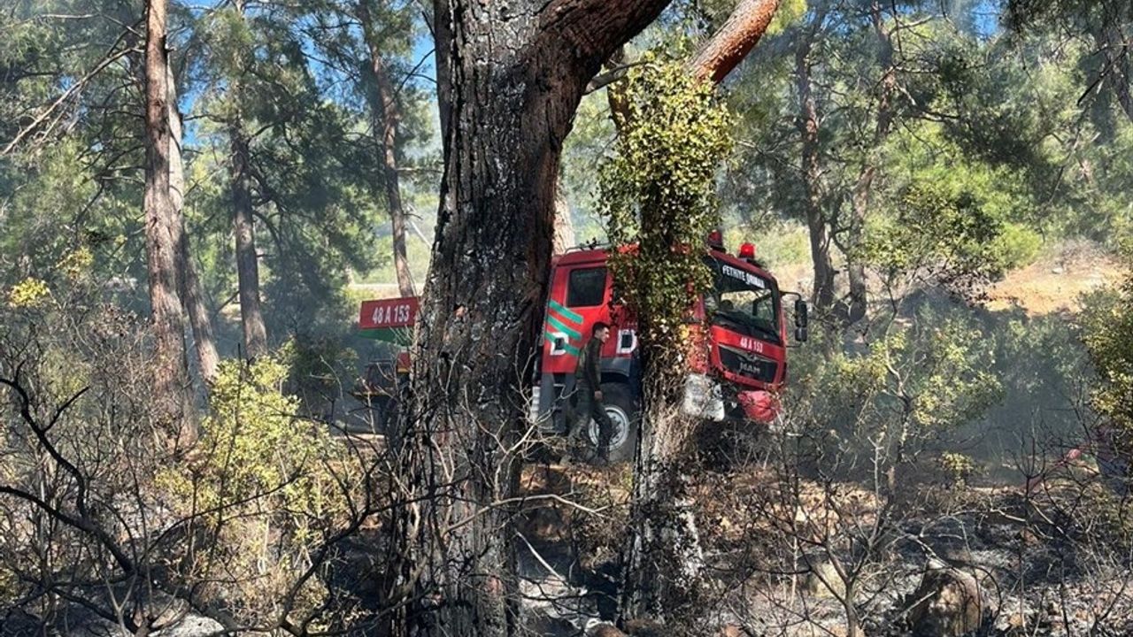 Muğla Fethiye'de Orman Yangını Kontrol Altına Alındı