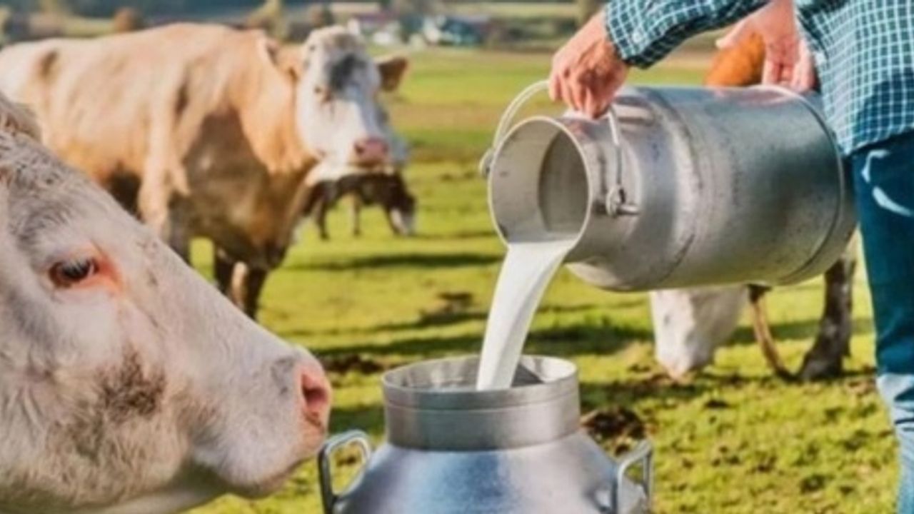 Muş'ta 24 Milyon TL'lik Süt Toplama Merkezi Yatırımı