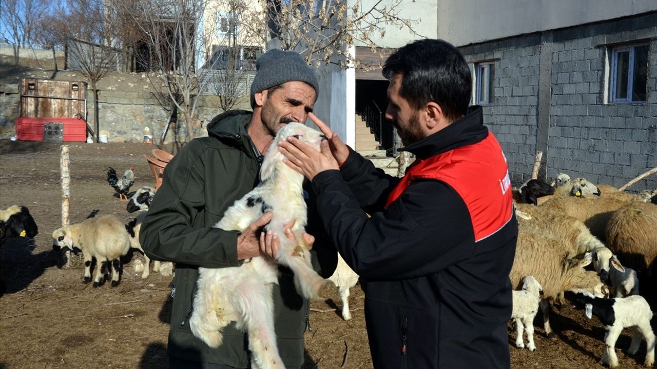 Muş'ta Bu Yıl Hayvan Varlığının Artması Bekleniyor