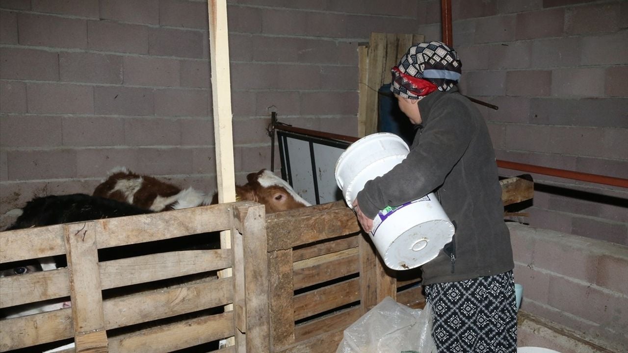 Niğde'de Eski Hükümlü Kadın, Devlet Desteği ile Hayvancılığa Adım Attı