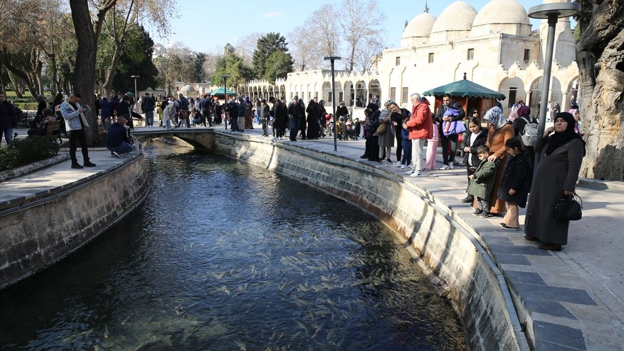 Şanlıurfa'daki Balıklıgöl'de Sömestir ve Hafta Sonu Yoğunluğu