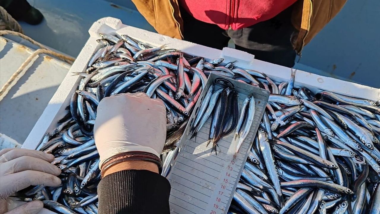 Sinop'ta Kaçak Su Ürünleri Avcılığına 2 Milyon 170 Bin Lira Ceza