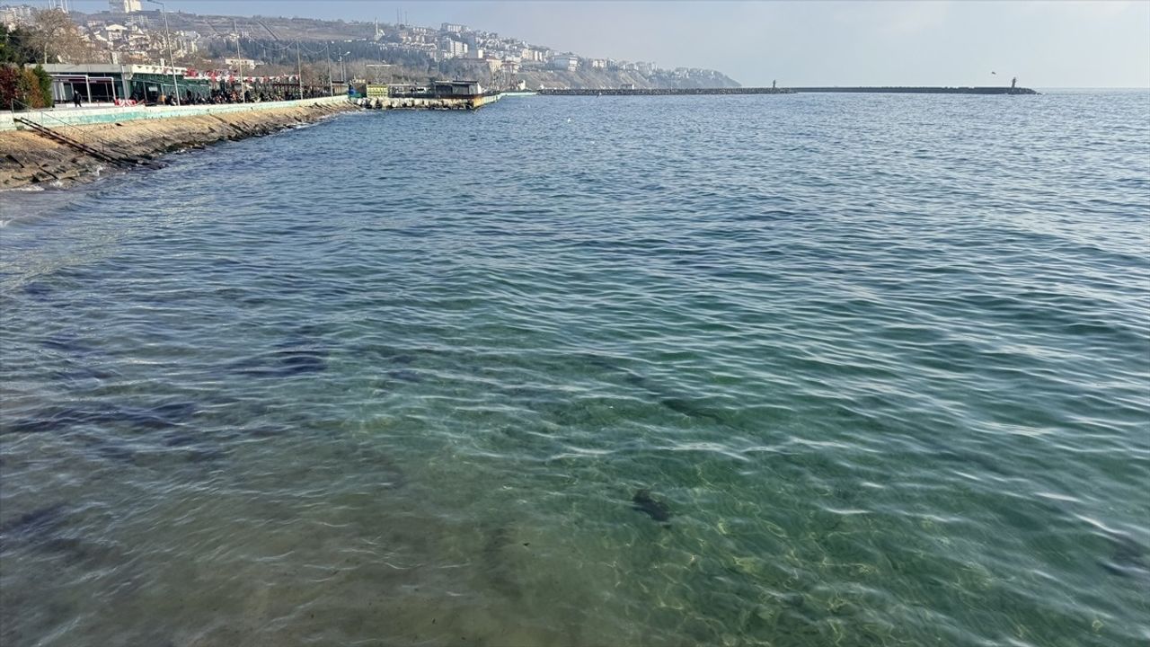 Tekirdağ'da Deniz Ulaşımı Poyraz Sonrası Normale Döndü