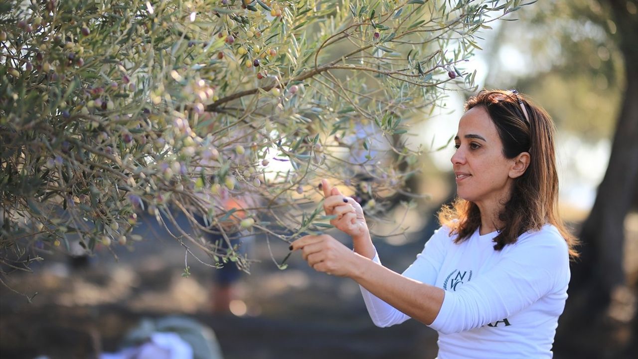 Türk Zeytinyağı Firması Nova Vera, Dünya Birincisi Oldu