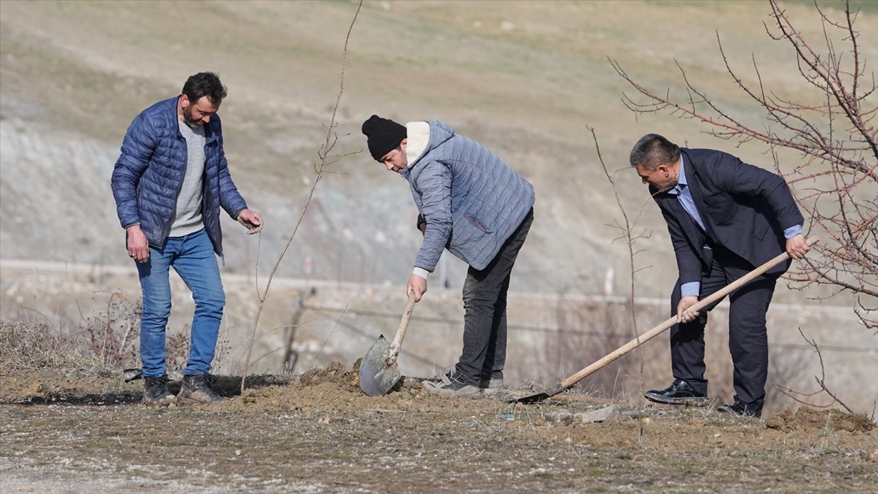 Yaylabaşı Köyü'nde Her Bebek İçin Fidan Projesi Başlatıldı