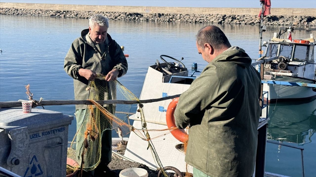 Zonguldak'ta Av Sezonu Bereketli Geçti: 10 Bin Ton Balık Avlandı