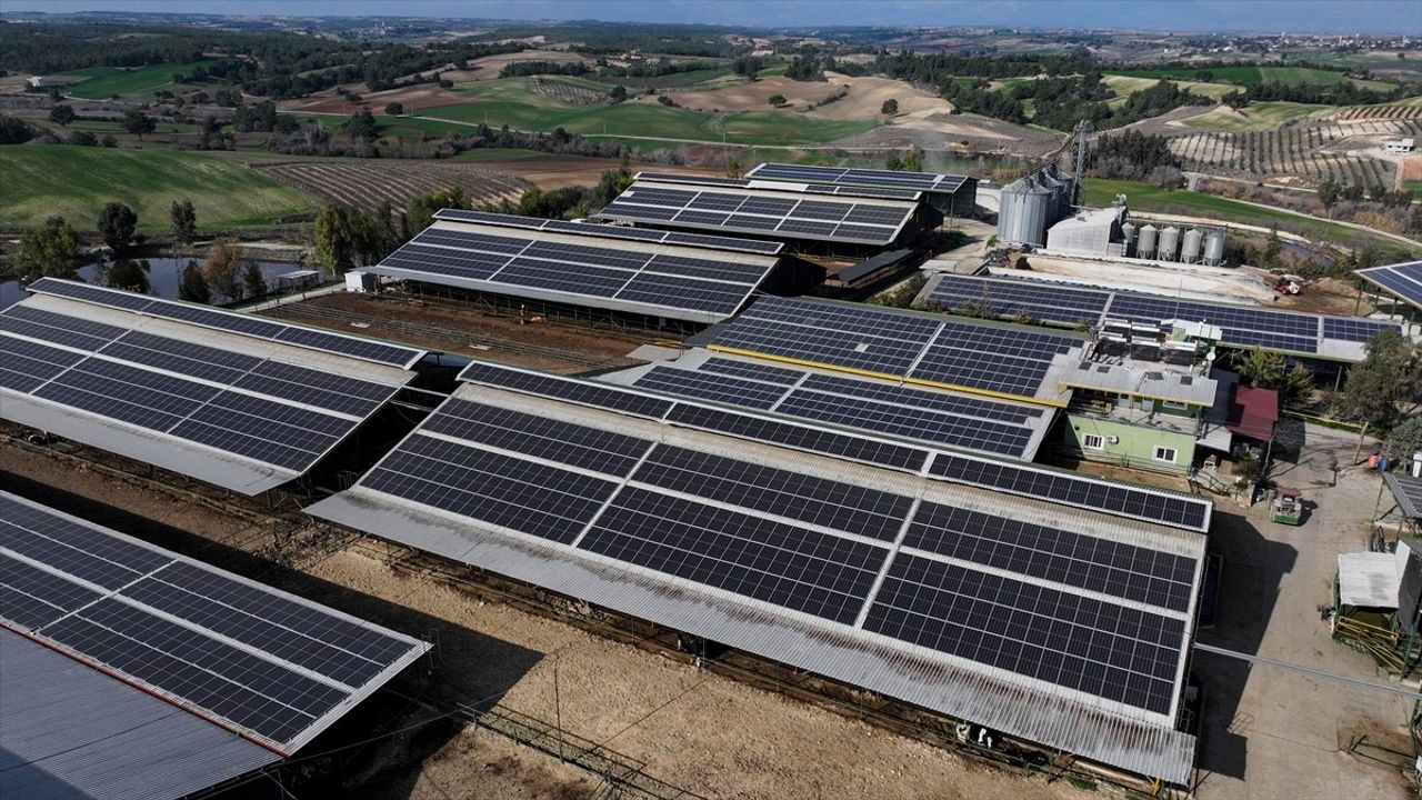 Adana'da Doğal Kaynaklarla Sürdürülebilir Tarım: Elektrik, Su ve Gübre Üretimi