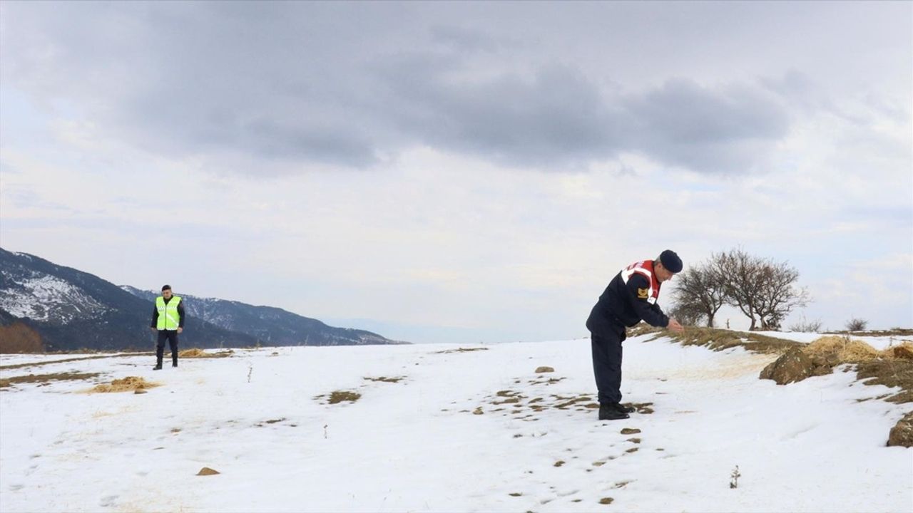 Amasya'da Jandarma Yaban Hayvanları İçin Yem Bıraktı