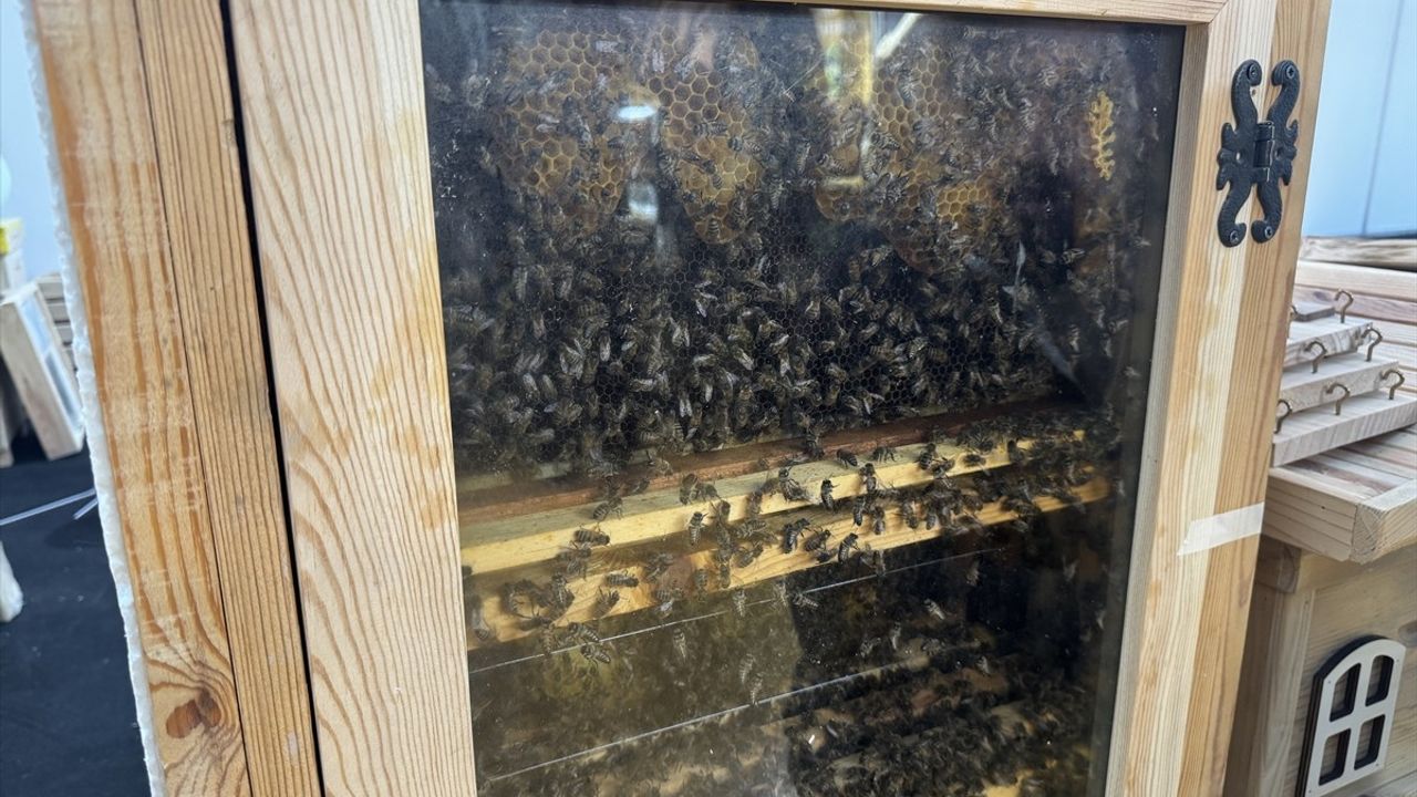 Antalya'da 2. Arıcılık ve Arı Ürünleri Fuarı Gerçekleşti