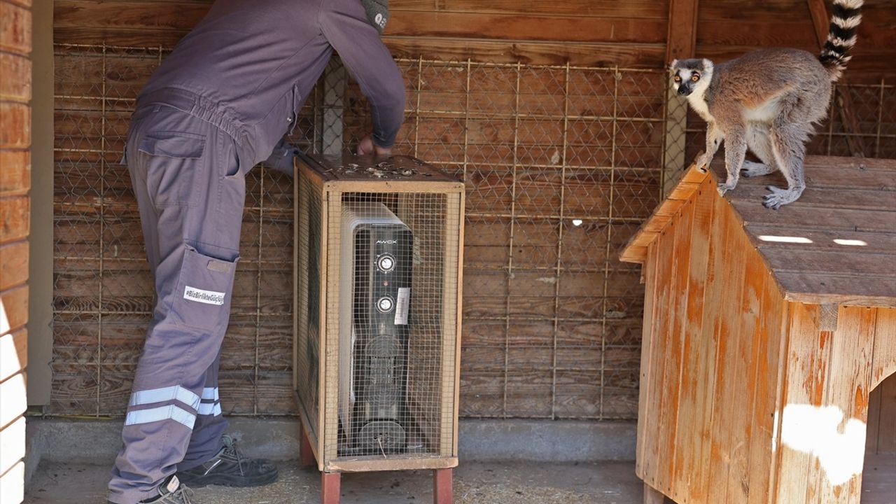 Antalya Doğal Yaşam Parkı'nda Tropik Hayvanlar İçin Isıtıcı Önlemler Alındı