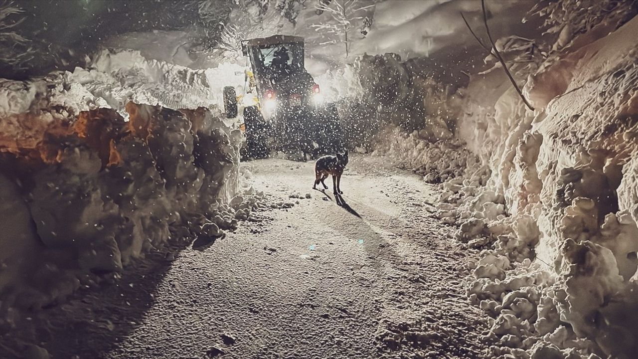 Artvin ve Rize'de Karla Mücadele: 316 Yerleşim Yeri Ulaşıma Kapandı