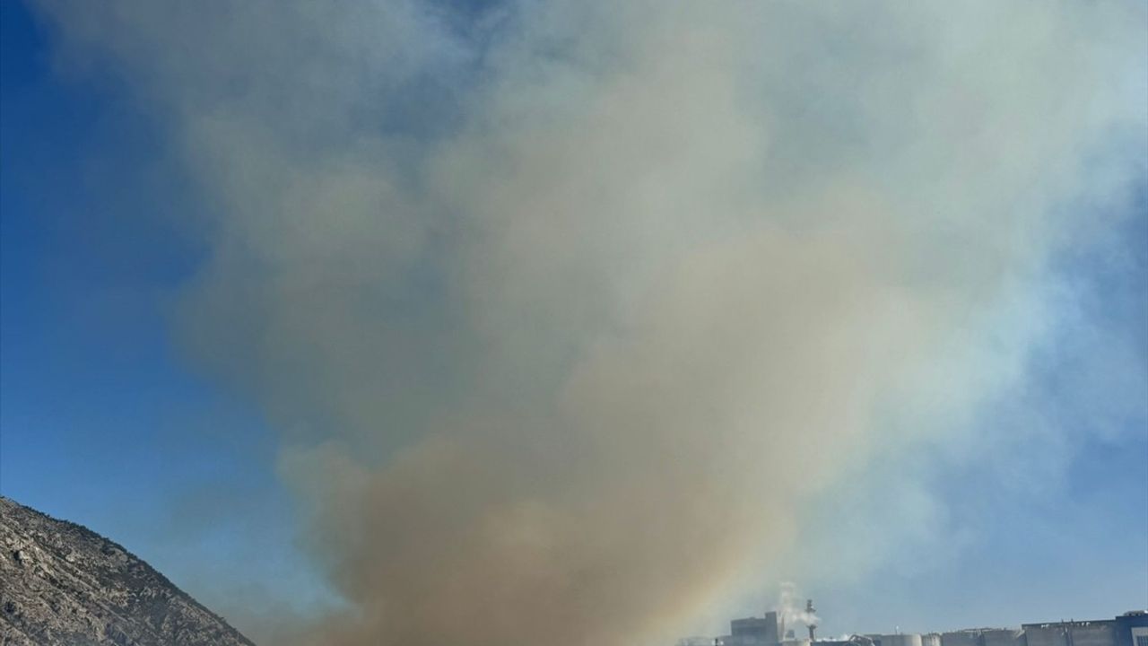 Aydın'da Kağıt Fabrikasında Yangın Çıktı