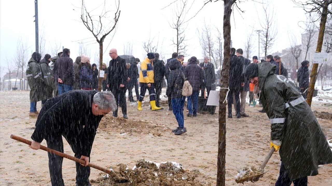 Bayrampaşa'da Kartalkaya'daki Yangında Hayatını Kaybedenler Anısına 78 Fidan Dikildi