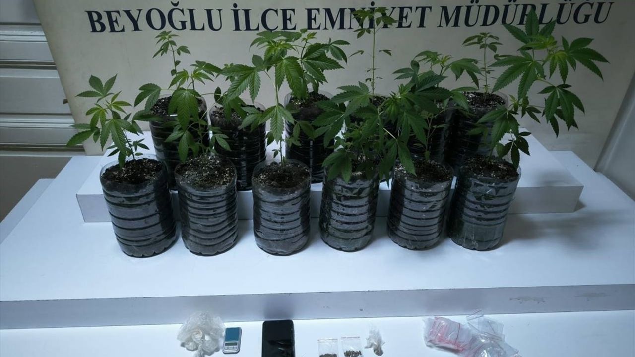 Beyoğlu'nda Uyuşturucu Yetiştiren Şüpheli Tutuklandı