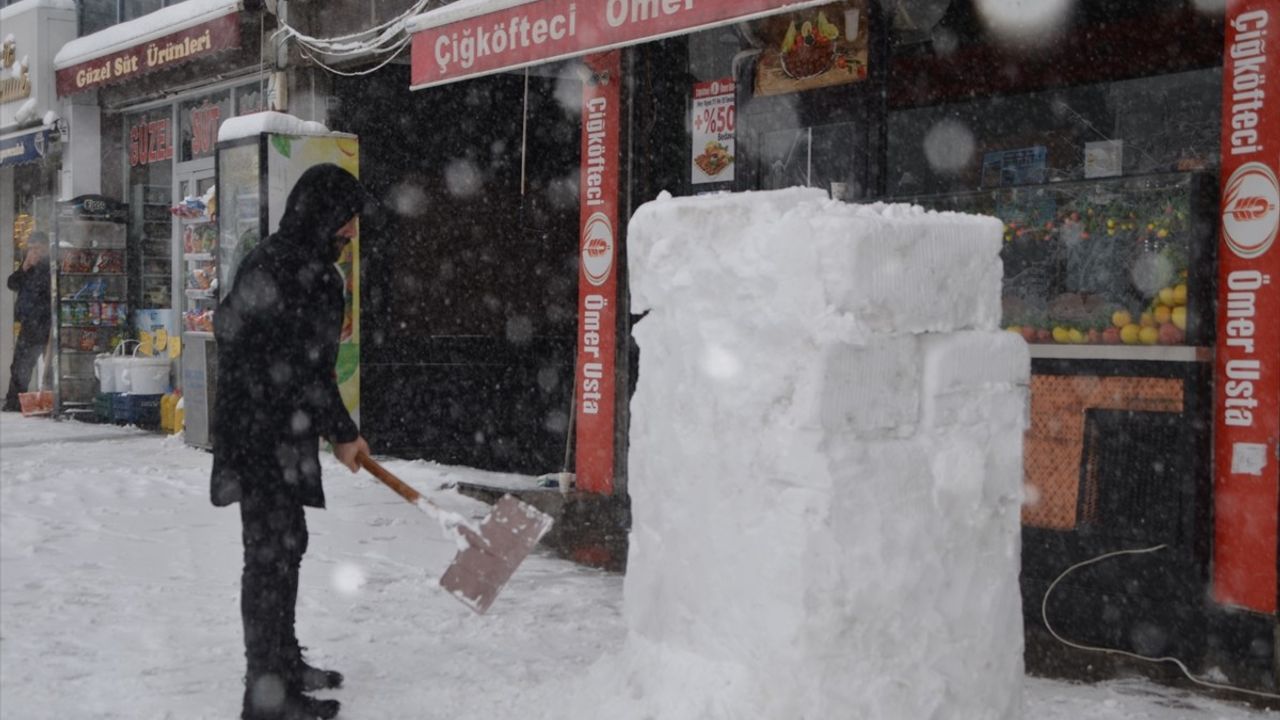 Bitlis ve Muş'ta Kar Yağışı Hayatı Olumsuz Etkiliyor