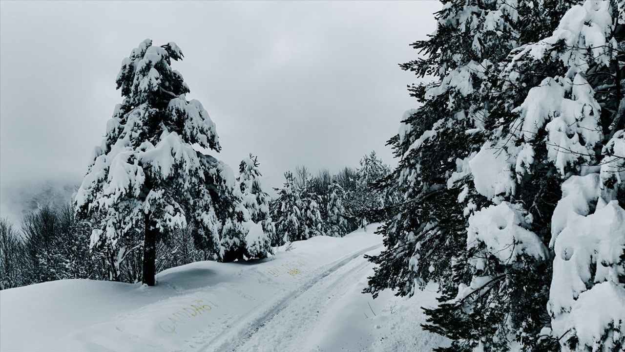 Çam Dağı'ndaki Kar Manzaraları FPV Dron ile Görüntülendi