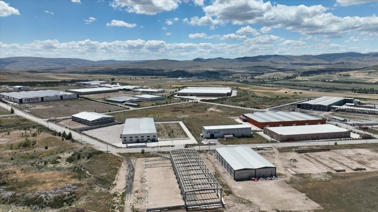 Çankırı'daki Çöplükten Organize Sanayi Bölgesi'ne Dönüşüm: 100 Milyon Dolar İhracat