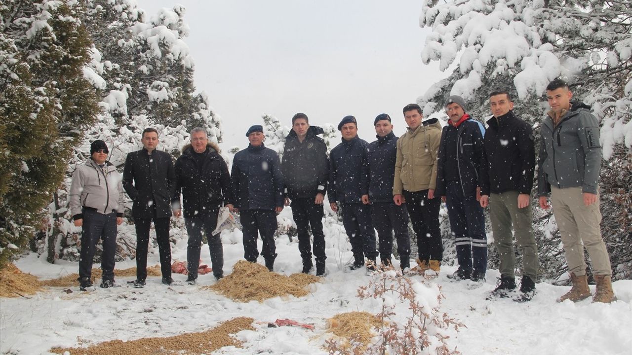 Çorum'da Yaban Hayvanları için Yem ve Ot Bırakıldı