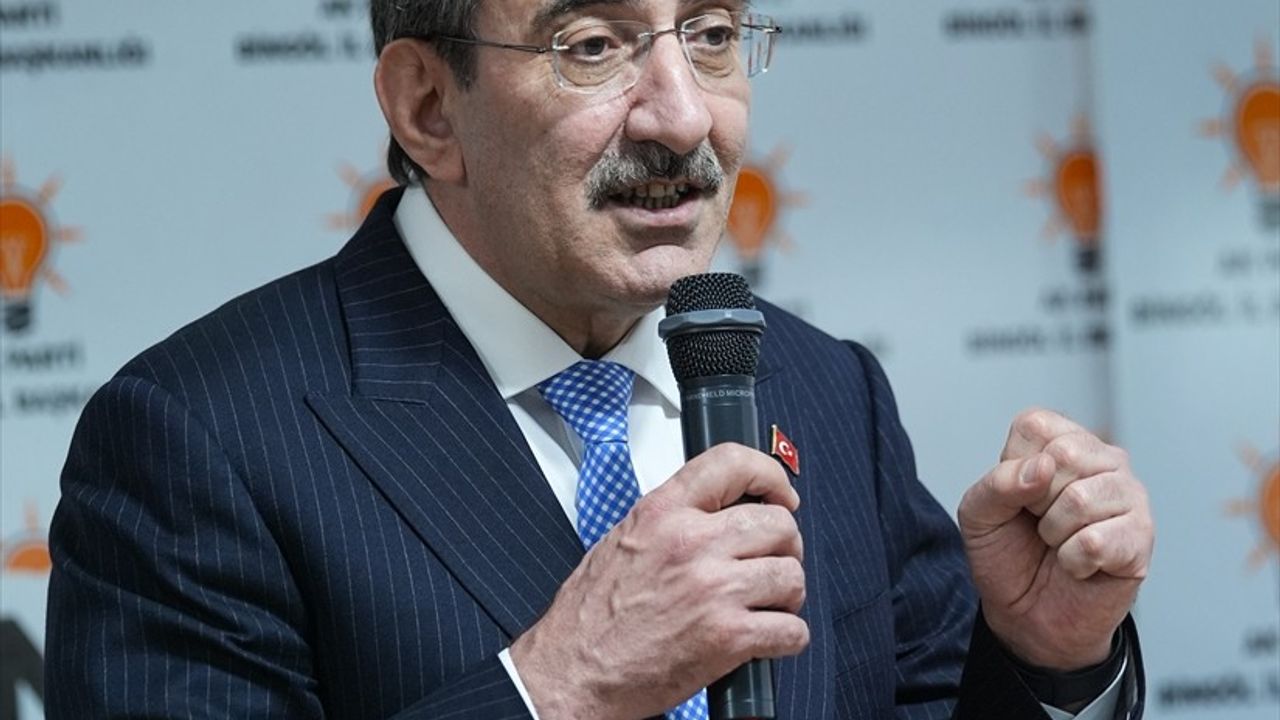 Cumhurbaşkanı Yardımcısı Yılmaz, Bingöl'de Enflasyon Hedeflerini Açıkladı