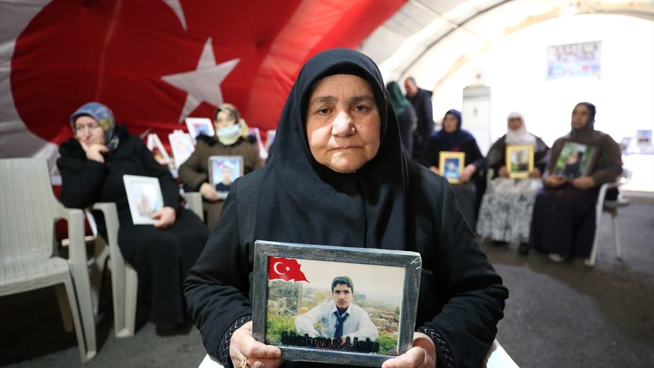 Diyarbakır Anneleri, Evlat Nöbetinde Kararlılıkla Devam Ediyor