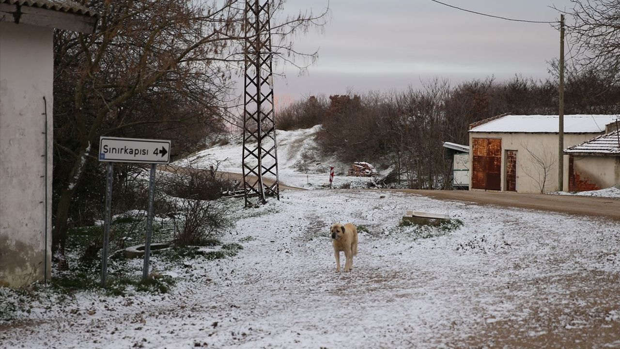 Edirne'nin Yüksek Kesimlerinde Kar Yağışı Etkili Oluyor