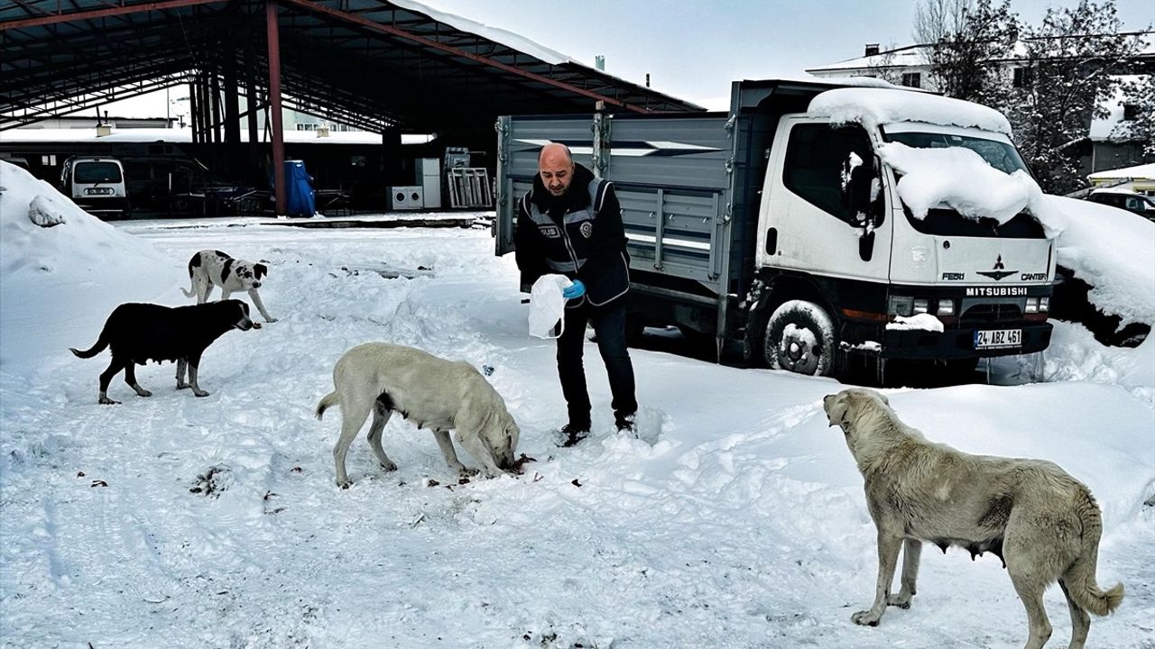 Erzincan'da Polisler Sahipsiz Hayvanlar İçin Yiyecek Dağıttı