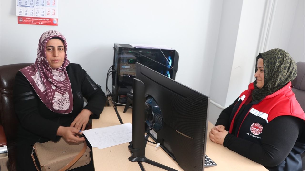 Erzurum'da 'Kırsalda Bereket, Hayvancılığa Destek Projesi'ne 2.500 Başvuru Yapıldı