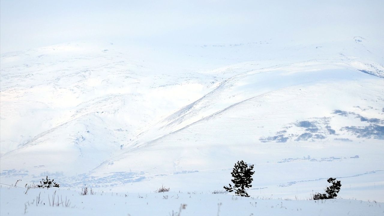 Erzurum, Kars ve Ardahan'da Kar ve Soğuk Hava Etkili Olmaya Devam Ediyor