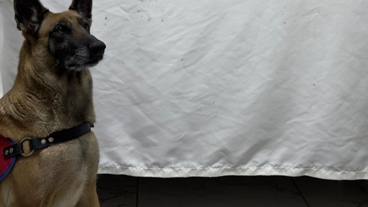 Gaziantep'te Yolcu Otobüsünde 3 Kilo 250 Gram Esrar Ele Geçirildi