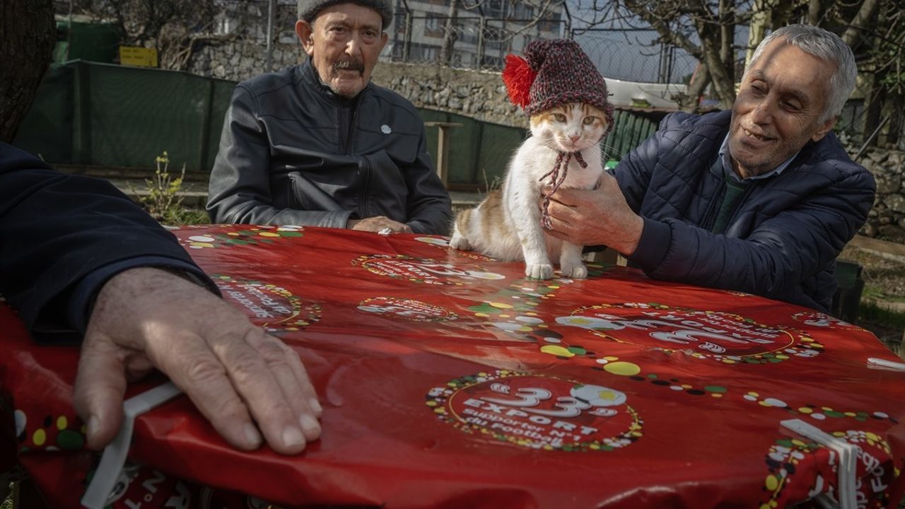 Göztepe Huzurevi'nde Kedi Huzurevi Kuruldu