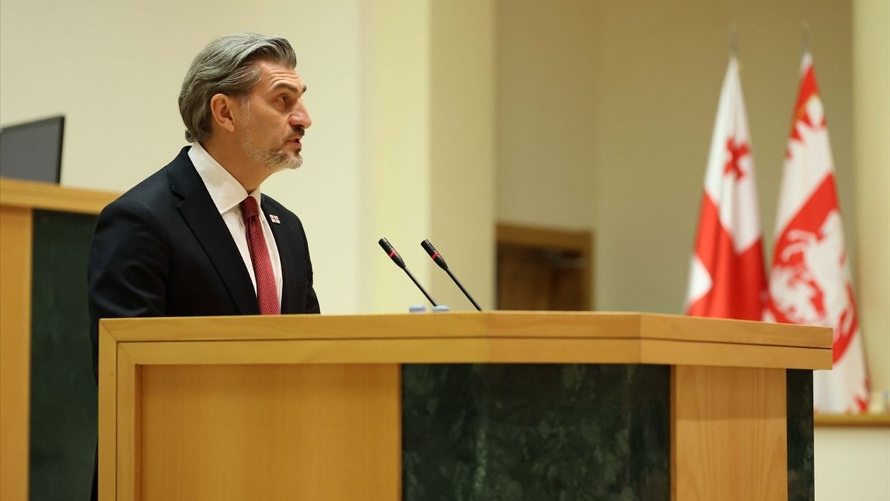 Gürcistan Cumhurbaşkanı Kavelaşvili'den Çifte Standart Uyarısı