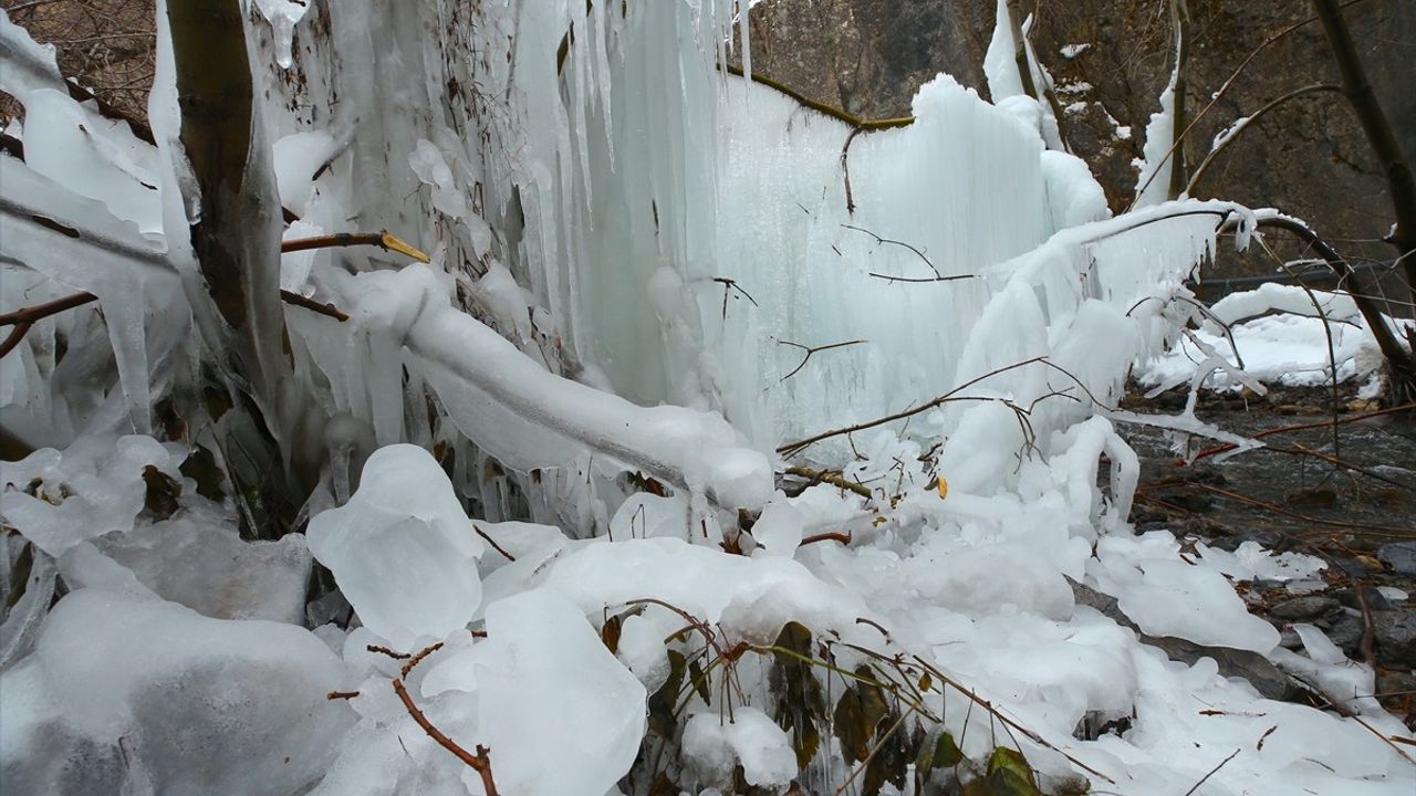 Hakkari'de Borudan Fışkıran Su Ağaçlarda Buz Sarkıtları Oluşturdu
