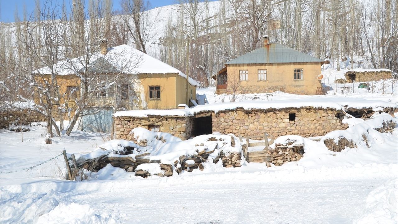 Hakkari'de Tek Başına Yaşayan Kadın, Zorluklarla Mücadele Ediyor