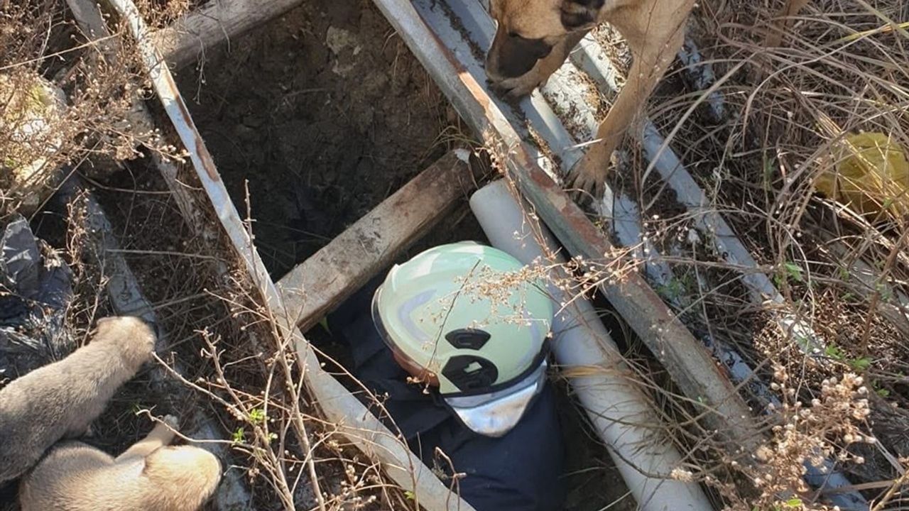 Hatay'da İnşaat Çukuruna Düşen Köpek Yavruları İtfaiye Ekipleri Tarafından Kurtarıldı