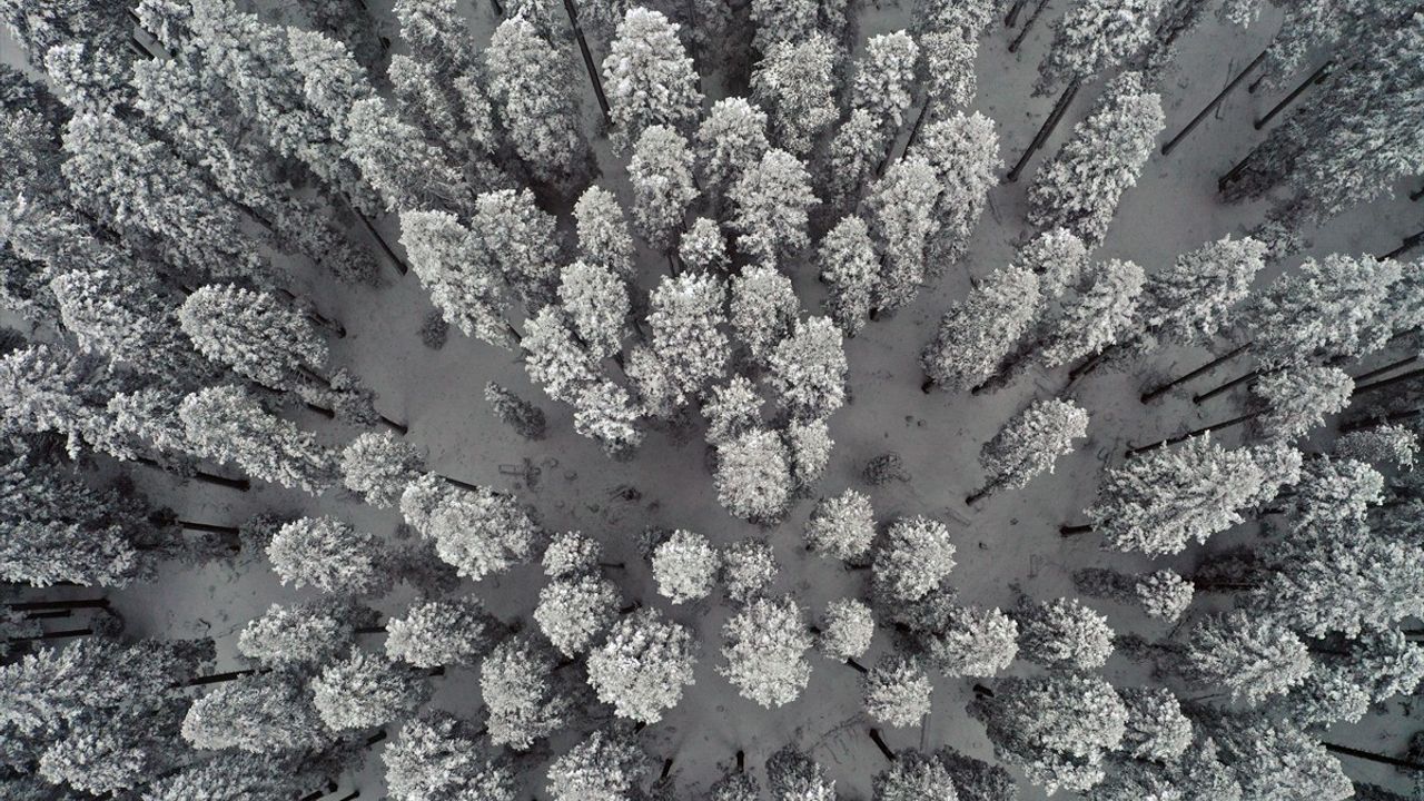 Ilgaz Dağı'ndaki Kar Manzaraları Dronla Görüntülendi