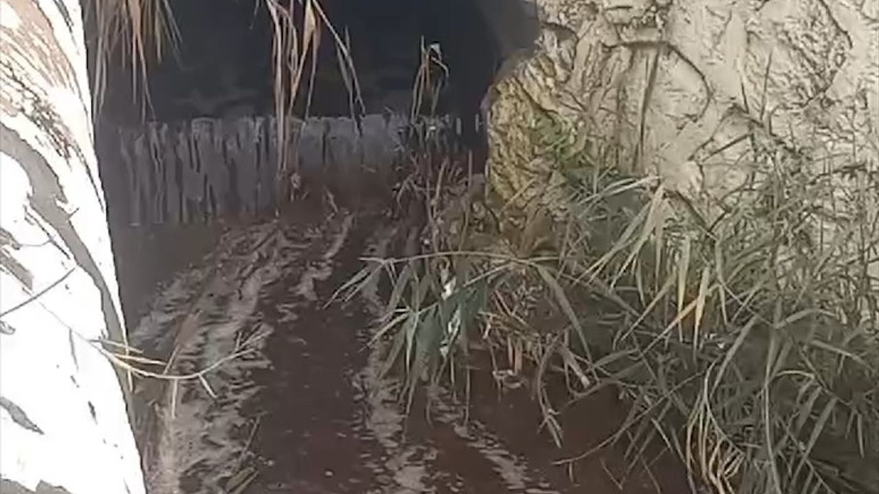 İzmir Körfezi'ne Atık Su Deşarjına 1,6 Milyon Lira Ceza Uygulandı