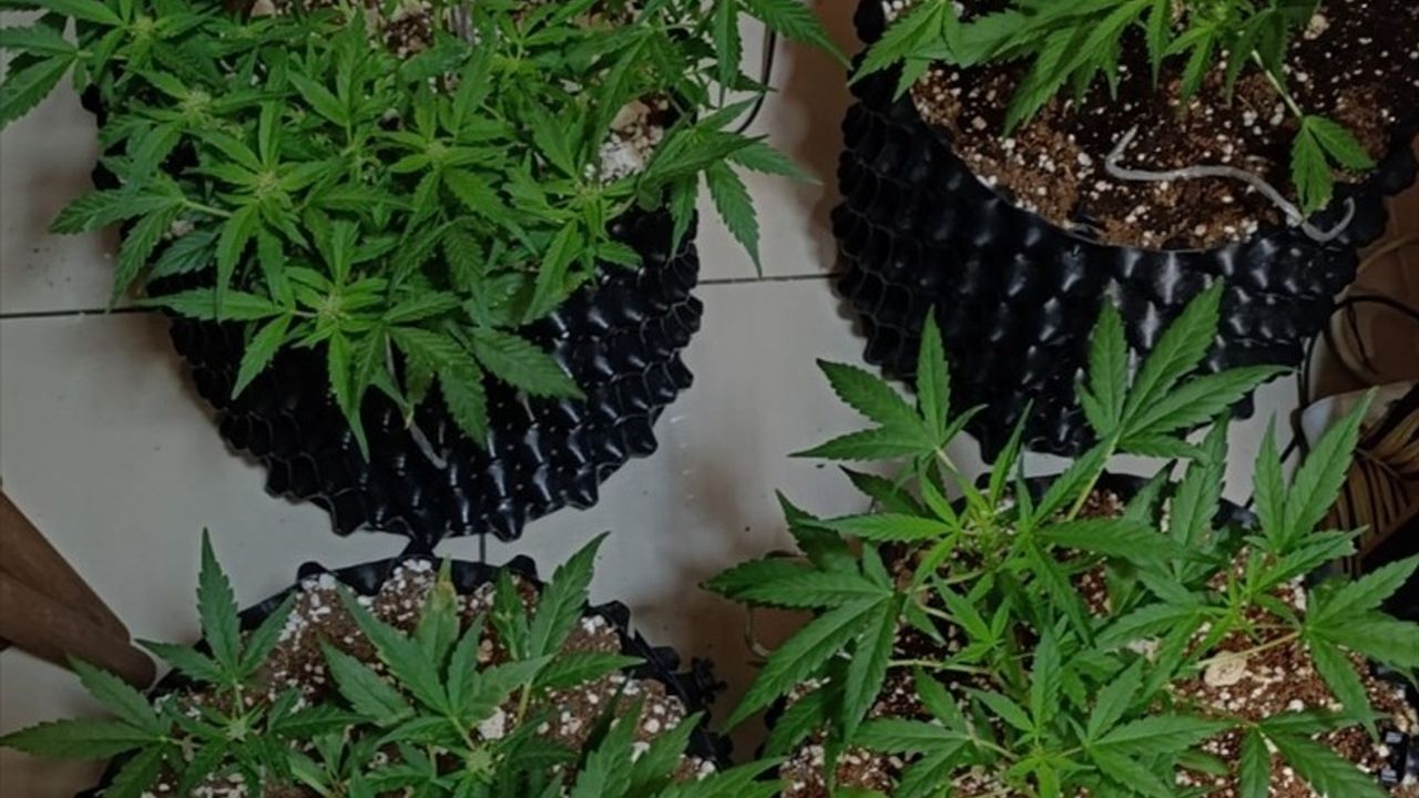 Kağıthane'de Uyuşturucu Operasyonu: Bir Tutuklama