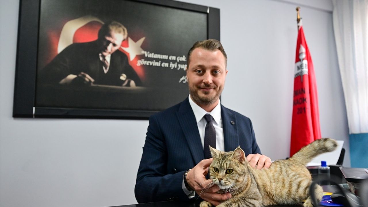 Kahramanmaraş Depremlerinin İkinci Yılı: Püsük Kedi'nin Yeni Yuva Hikayesi